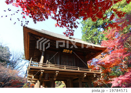 平林寺の紅葉 19784571
