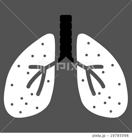 Lungs Flat Icon 19785098
