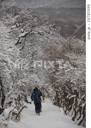 雪の登山道 19785099