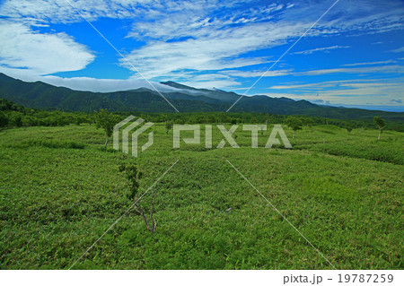 北海道 知床一湖 北海道 知床一湖 19787259