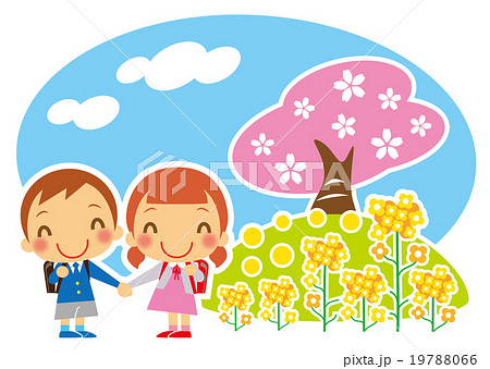桜と菜の花と一年生 19788066