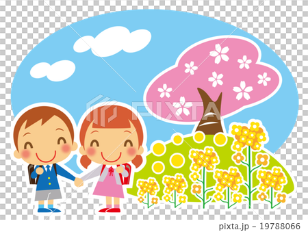 桜と菜の花と一年生 19788066