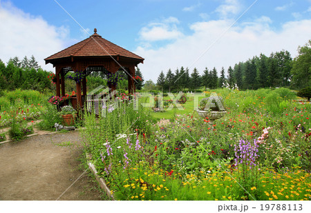 北海道　紫竹ガーデン 19788113