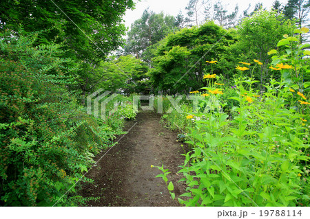 北海道 紫竹ガーデン 北海道 紫竹ガーデン 19788114