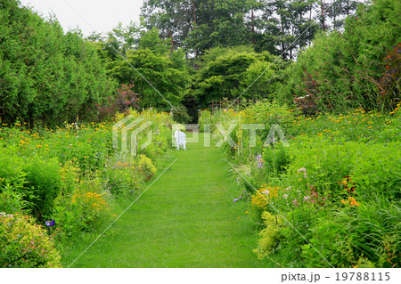 北海道　紫竹ガーデン 19788115