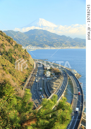 さった峠から観た富士山 19788245