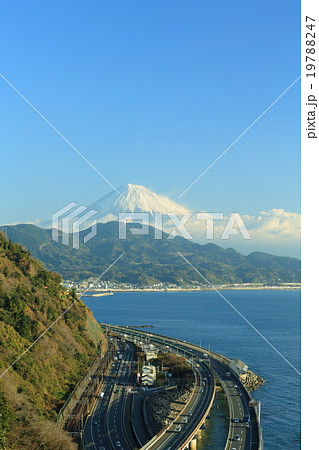 さった峠から観た富士山 19788247