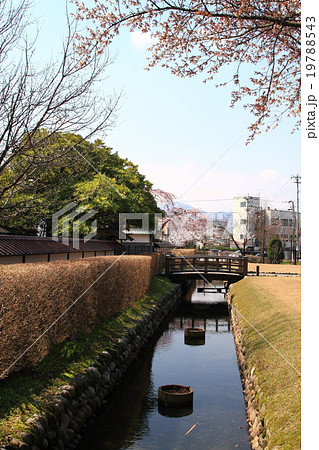 致道館　お堀 19788543