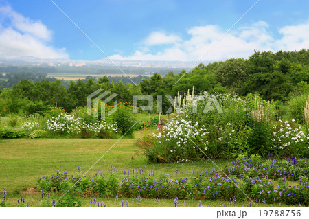 北海道　十勝ヒルズ 19788756