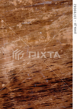 wood background 19789082