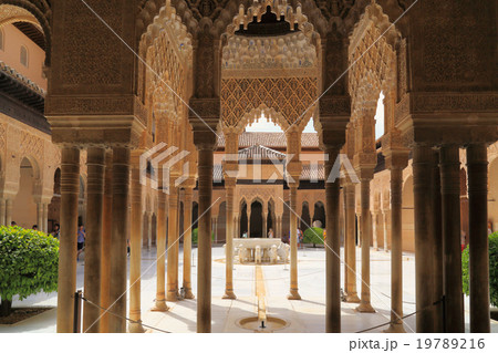 ライオンの中庭 19789216