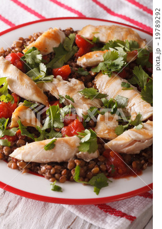 brown lentils with grilled chicken and herbs 19789292