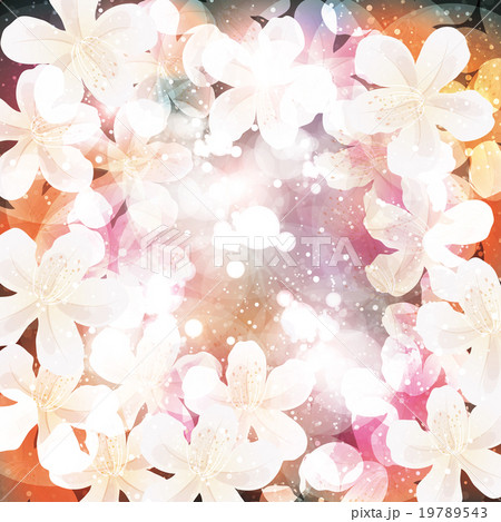 桜　背景 19789543