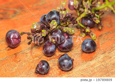 Close up of Grapes residues after eaten 19789809