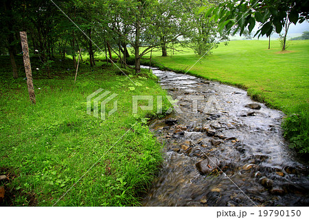 北海道 十勝千年の森 北海道 十勝千年の森 19790150