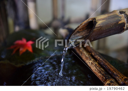 獅子威し 19790462