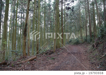 長崎街道の写真 19793938