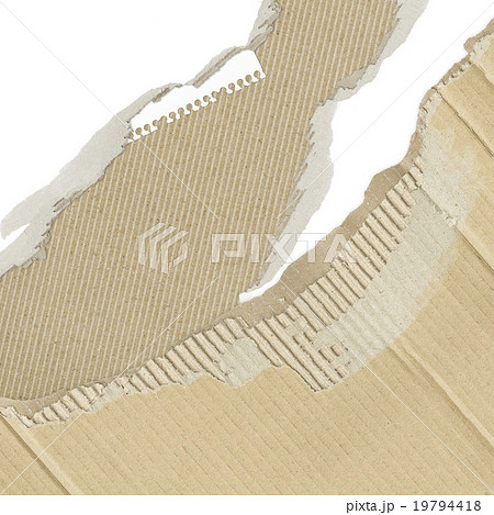 ナチュラル背景 ナチュラル背景 19794418