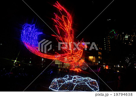 イルミネーション 19794638