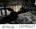 公園 19795627