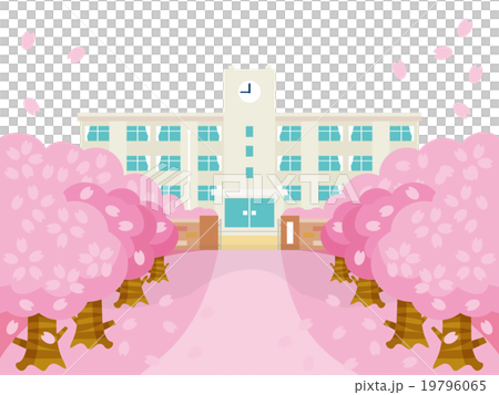 春天的櫻花和學校建築變化 19796065