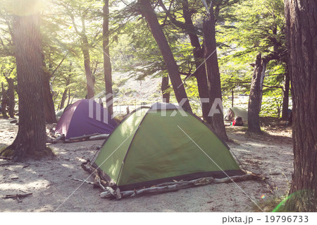 Tent in the forest Tent in the forest 19796733