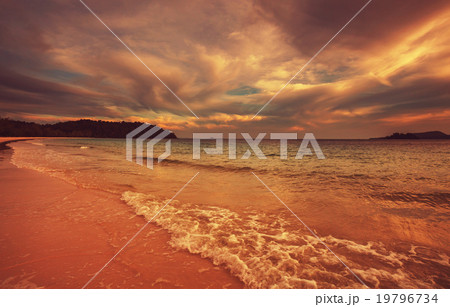 Tropical beach 19796734