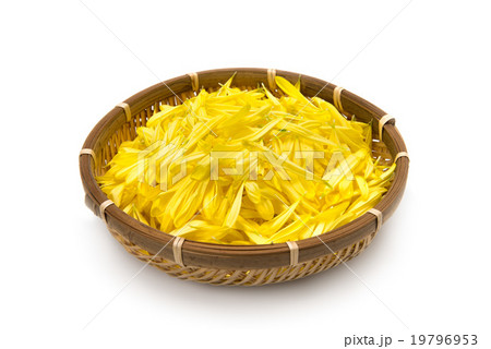 食用菊 19796953