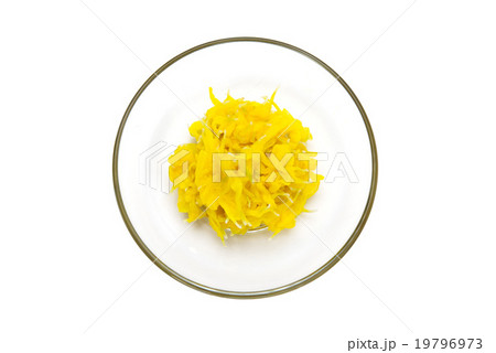 食用菊 19796973