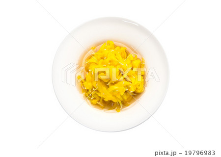 食用菊 19796983