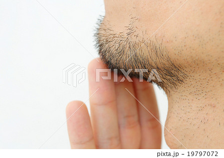 ヒゲ 19797072