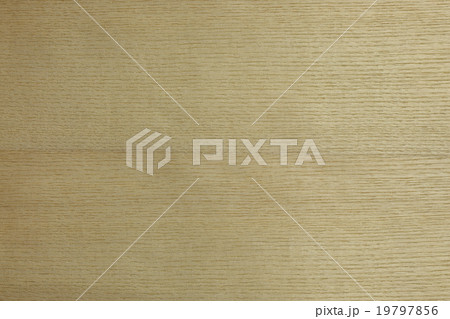 アッシュ アッシュ 19797856