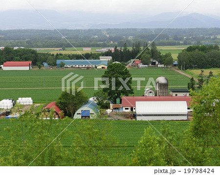 北海道　十勝地方　牧場のある風景 19798424