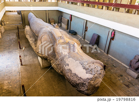 The Statue of Ramesses II in Memphis 19798816