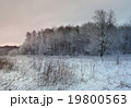 winter evening landscape with tree and snow 19800563