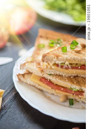 Cheese sandwich photo Cheese sandwich photo 19801001