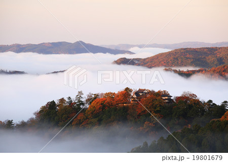 天空の城 備中松山城305- 天空の城 備中松山城305- 19801679