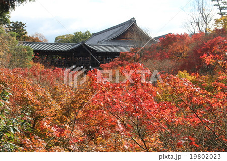 東福寺 東福寺 19802023