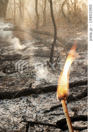 Destroyed by burning tropical forest ,Thailand 19802060