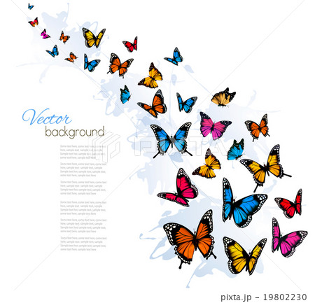 Beautiful background with colorful butterfly.  19802230
