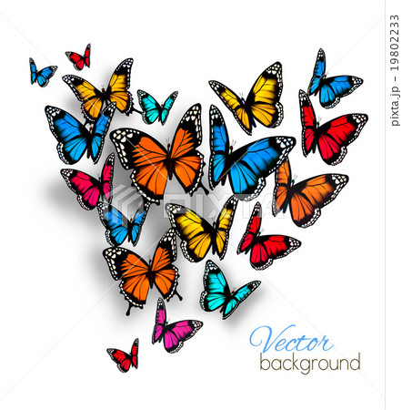 Beautiful Background With Colorful Butterfly. 19802233
