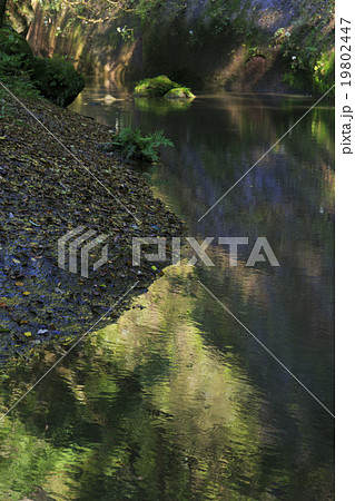 由布川渓谷 由布川渓谷 19802447