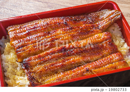 特上うな重 日本鰻 Superior eel and rice in lacquered box 特上うな重 日本鰻 Superior eel and rice in lacquered box 19802733