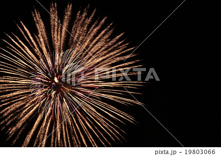 fireworks fireworks 19803066