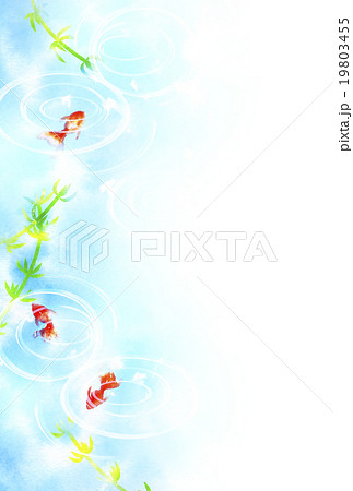 金魚と水草 金魚と水草 19803455