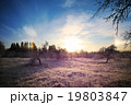 Cold winter landscape with sunset and blue sky 19803847