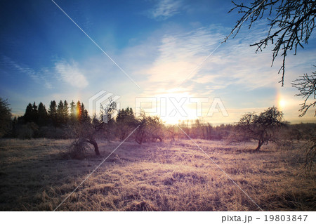 Cold winter landscape with sunset and blue sky Cold winter landscape with sunset and blue sky 19803847