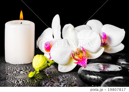 spa concept of blooming white and red orchid spa concept of blooming white and red orchid 19807817