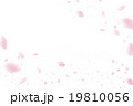 ,桜吹雪,桜ふぶき,さくら吹雪 19810056