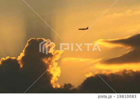 FedEx MD11 FedEx MD11 19810083